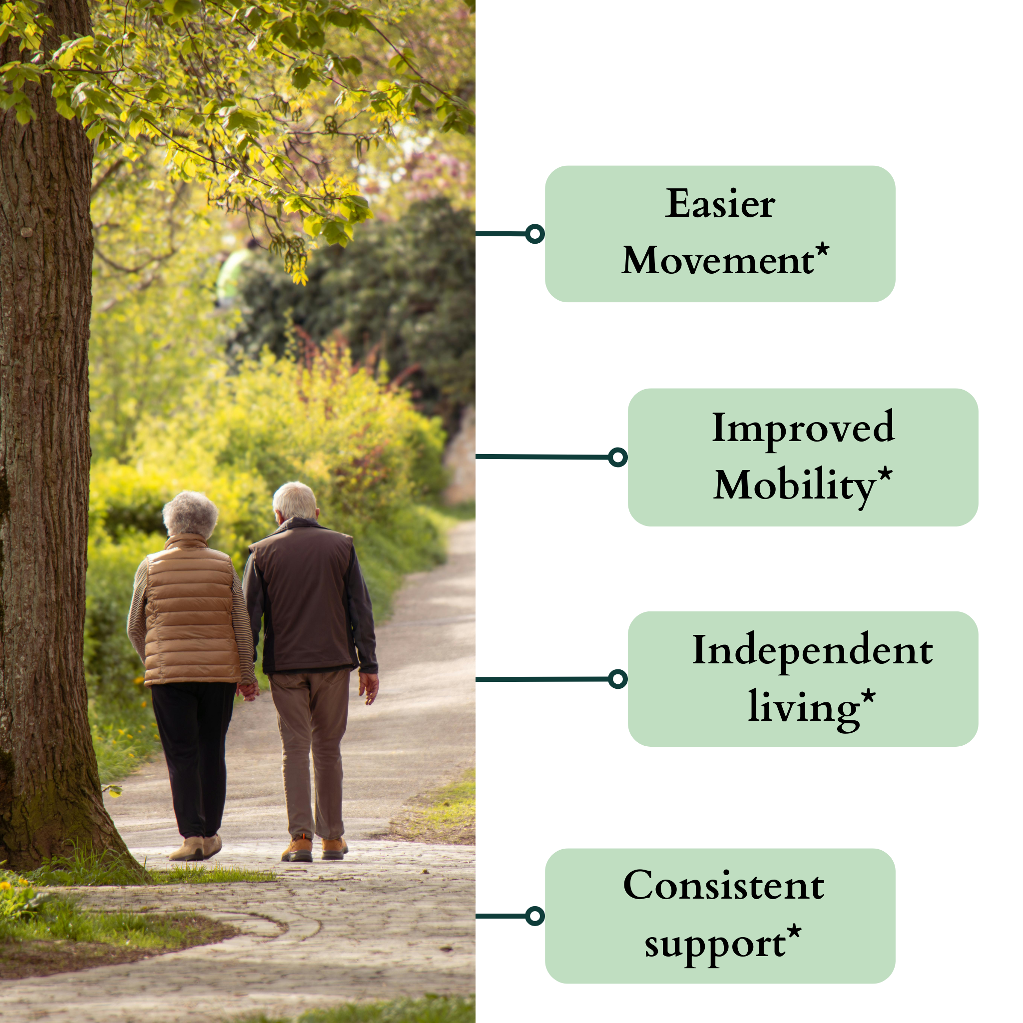 AgeWithEase: Joint Support